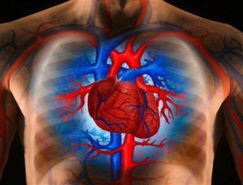 Ερευνητικό φάρμακο μειώνει τη θνησιμότητα της οξείας καρδιακής ανεπάρκειας!