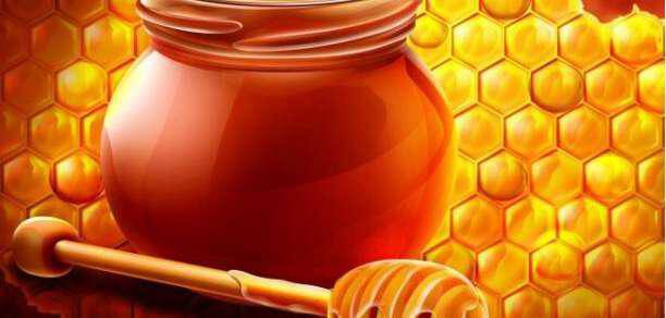 Συνταγές θεραπείας με μέλι!