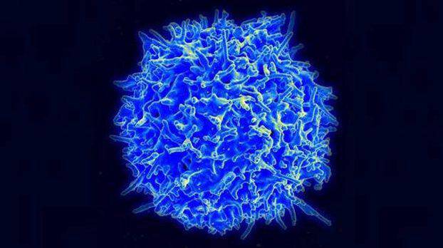 «Παν-καρκινικές» μελέτες φωτίζουν τη γενετική του καρκίνου!