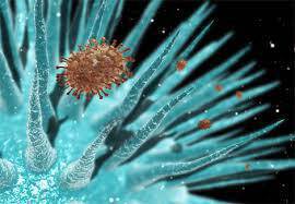 Γρίπη: 10 μύθοι και αλήθειες!