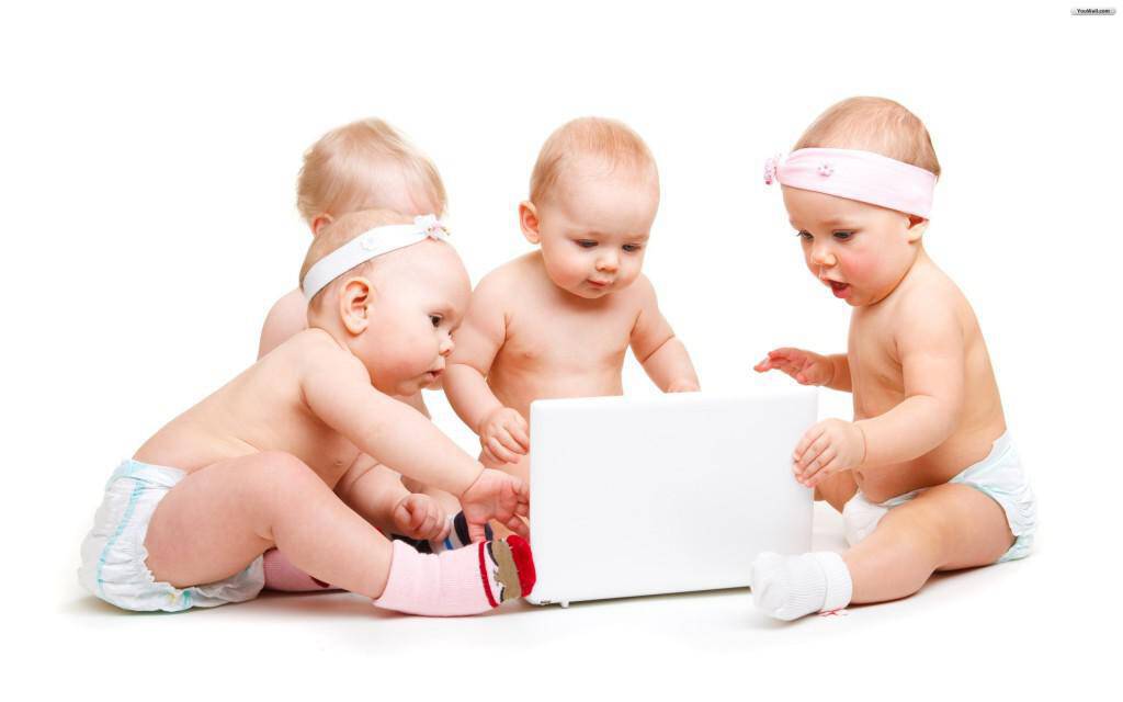 babies-try-to-operate-laptop