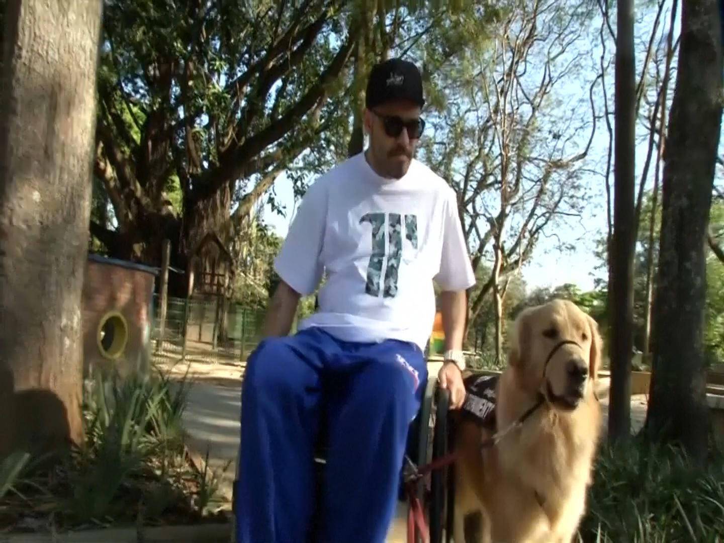 Σκύλος - Αναπηρία - Βοήθεια