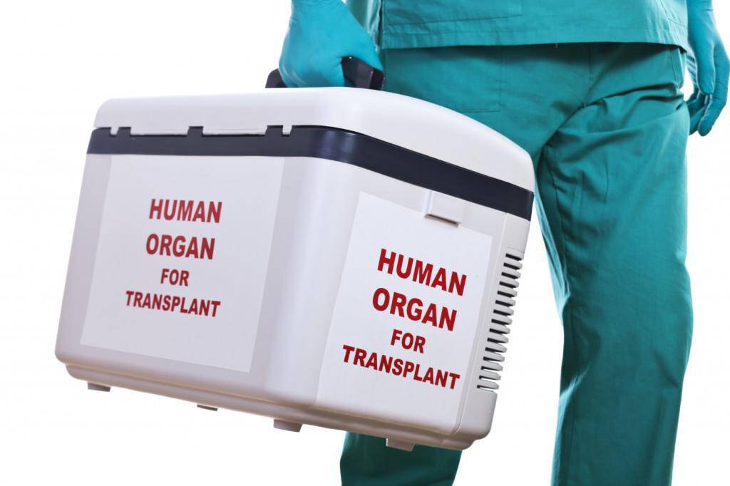 istock-18130774-organ-transplant