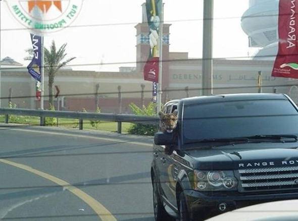 Παράξενες φωτογραφίες από πράγματα που μπορείτε να δείτε μόνο μα μόνο στο Ντουμπάι!!