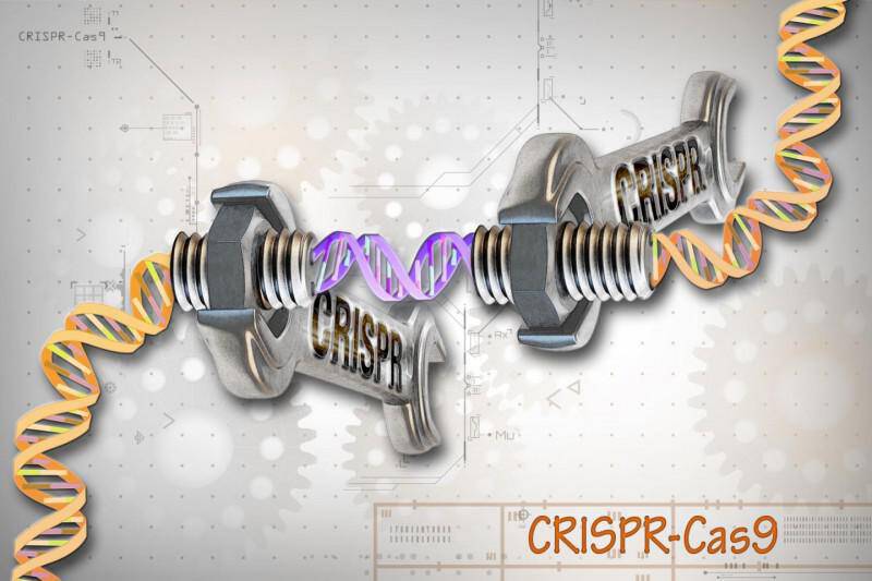 Έρπης: Τι είναι η γονιδιακή θεραπεία CRIPSR/Cas 9 που τον εξαφανίζει