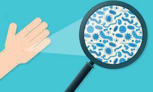 bigstock-Blue-germs-on-a-hand-being-vie-104745992
