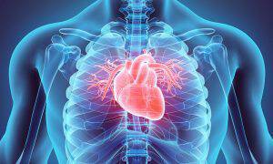 bigstock-D-Illustration-Of-Heart-Medi-138634304