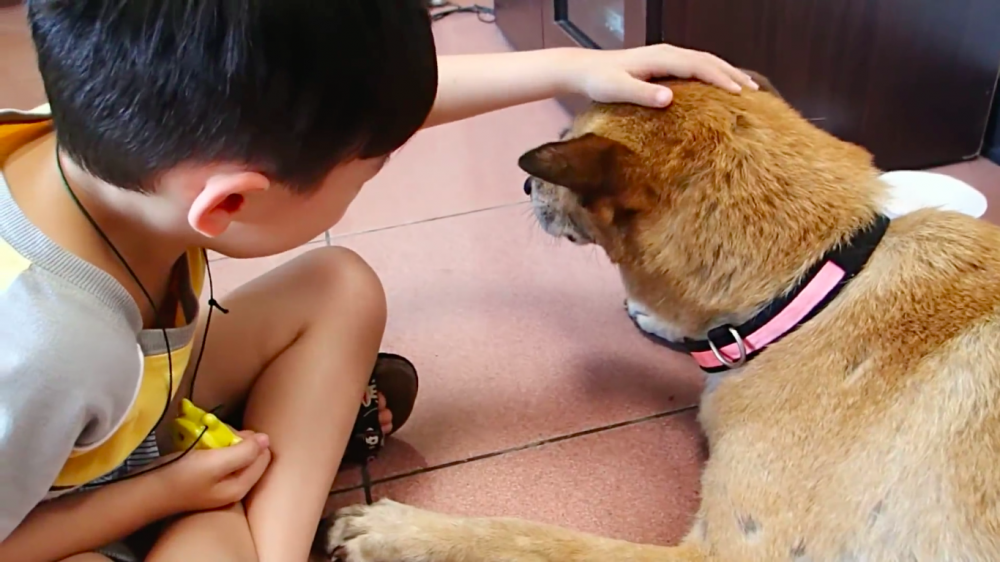 Μικρό αγόρι λέει το πιο συγκινητικό «αντίο» στον 17χρονο καλύτερο φίλο του, στον κατοικίδιο σκύλο του