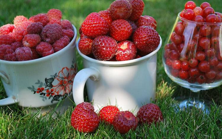 Φράουλες: 6 λόγοι για να γεμίζεις το μπολάκι με δαύτες