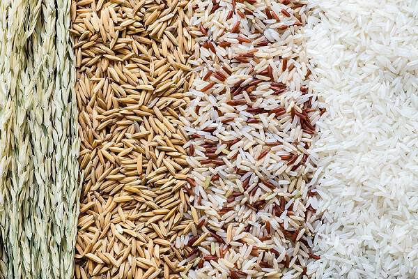 Λευκό vs καστανό ρύζι: Ποιες οι διαφορές στη διατροφική τους αξία