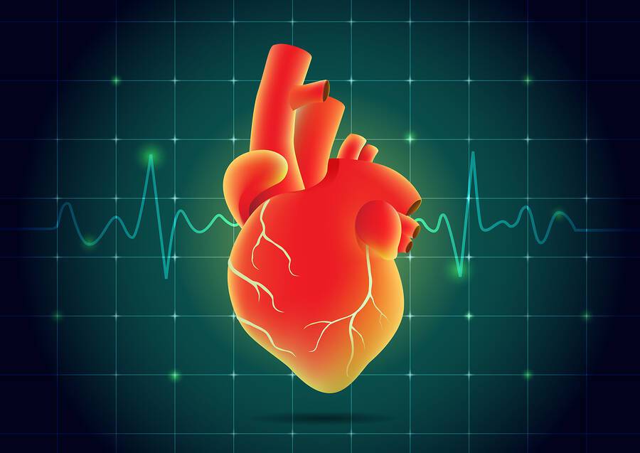 Παλμοί καρδιάς: 5 πράγματα που δείχνουν για την υγεία σας