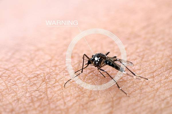 Τσίμπημα από κουνούπι: Τα συμπτώματα που δείχνουν σοβαρή αλλεργική αντίδραση