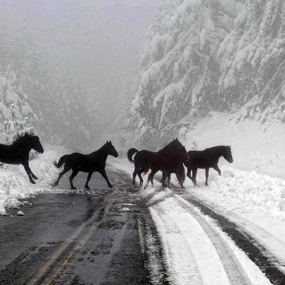 dinfo.gr - 30 μαγικές φωτογραφίες που αποδεικνύουν ότι η Ελλάδα γίνεται πιο όμορφη όταν χιονίζει.. 
