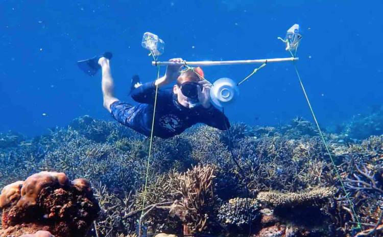 Επιστήμονες χρησιμοποιούν υποβρύχια ηχεία για να ζωντανέψουν ξανά τους κοραλλιογενείς υφάλους