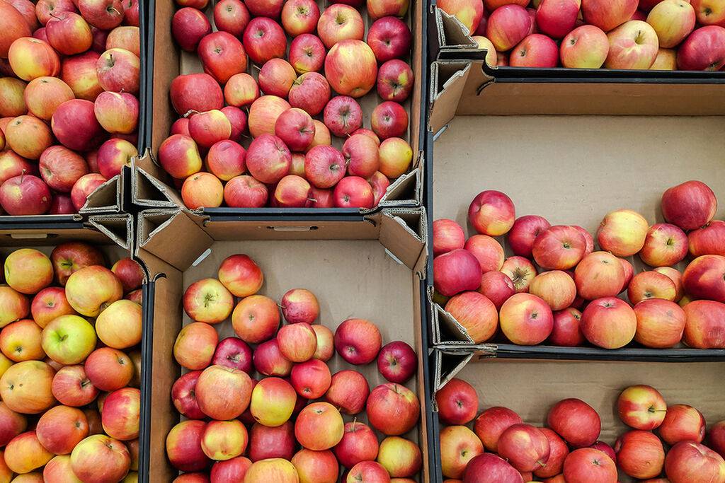 θεραπεία αδυνατίσματος με μήλα 5 ημέρες αδυνάτισμα γοφών και γλουτών