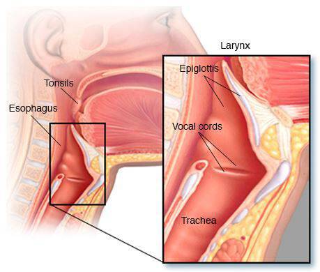 Καρκίνος στον λαιμό: Βήχας και πονόλαιμος ίσως είναι πρώιμα σημάδια!